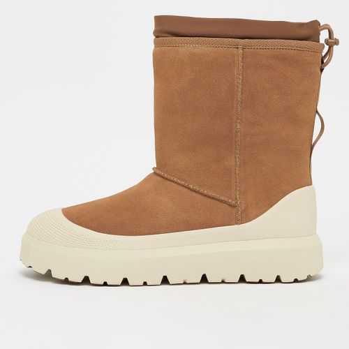 Chaussures Ugg Classic Short Weather Hybrid Bottes Beige