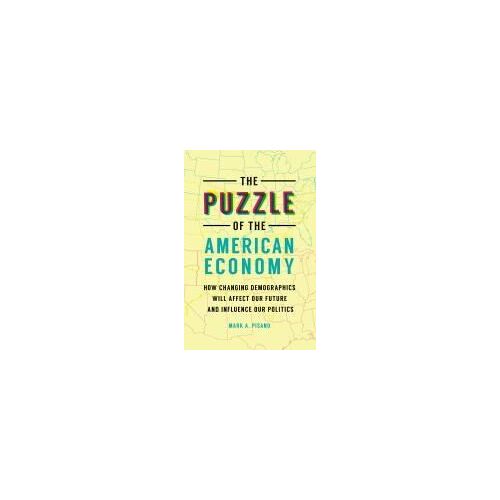 The Puzzle Of The American Economy