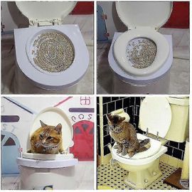 Kit D'entraînement Aux Toilettes Pour Chats Système De Nettoyage Kitty Pets Potty Urinoir Litière