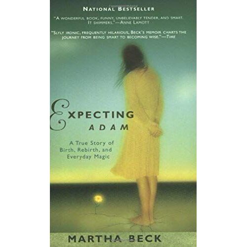 Expecting Adam : A True Story Of Birth, Rebirth, And Everyday Magic