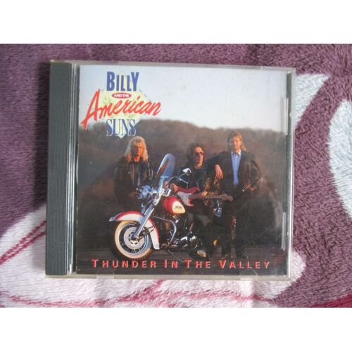 Billy And The American Suns Thunder In The Valley