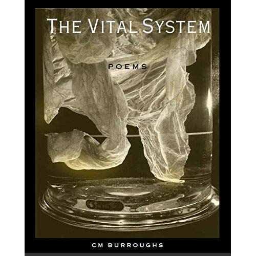 The Vital System