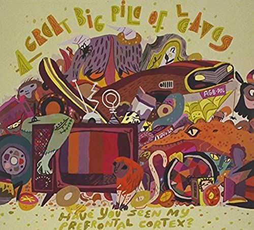 Have You Seen My Prefrontal