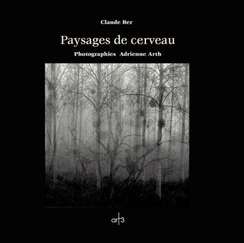 Paysages De Cerveau