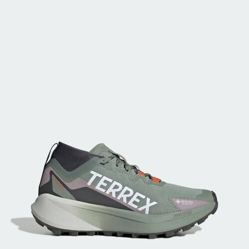 Chaussures De Trail Running Terrex Agravic Gtx Adidas Silver Green Cloud White Preloved Fig