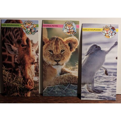 Lot De 3 Cartes Merveilles Du Monde De Nestlé - Animaux