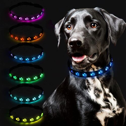 Collier Lumineux Chien, Led 7 Couleurs Collier Clignotant Avec Rechargeable Usb, Etanche Sécurité Et Réglable Collier Led, Nuit Sécurité Collier Lumineux(S)