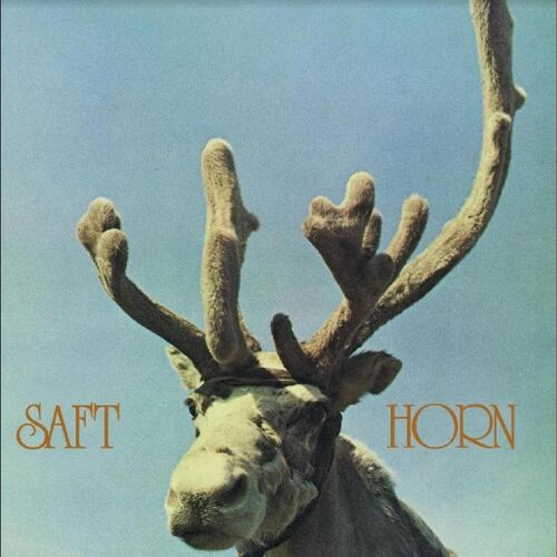 Horn [Vinyl]