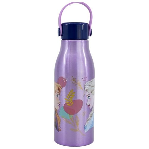 Stor - Water Bottle W/flexi Handle 760 Ml - Frozen (088808715-74261)