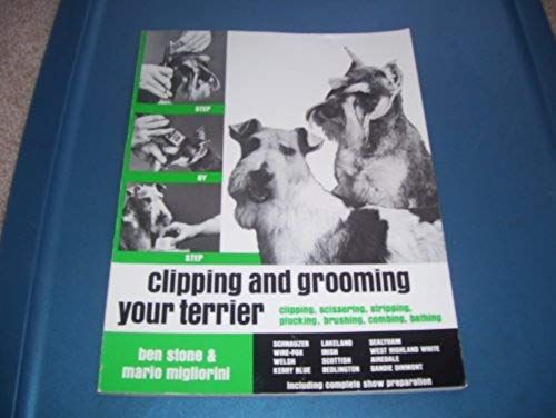 Clipping And Grooming Your Terrier