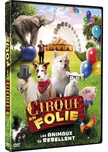 Cirque En Folie