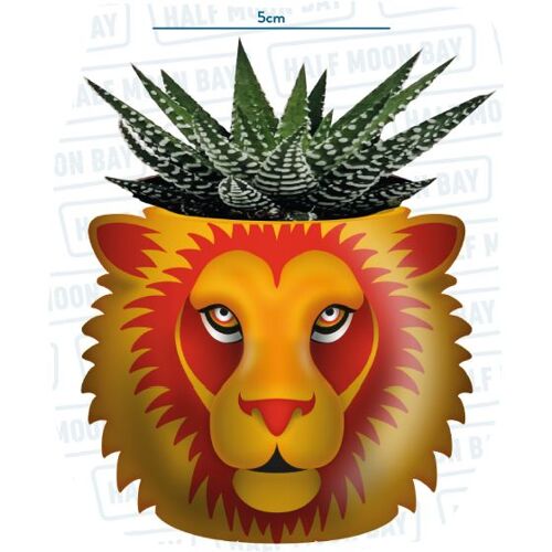 Harry Potter - Gryffondor - Pot Pour Plante