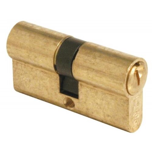 Cylindre s'entrouvrant - 30 x 30 mm - laiton poli - TE-5 TESA Sécurité