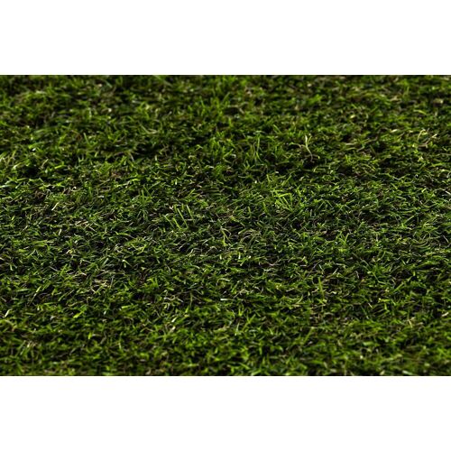 200x500 Cm Gazon Synthétique Forestland Dimensions Standards