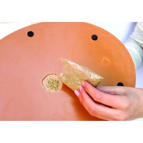 Venteo - Griffoir Et Grattoir 2 En 1 - Base Antidérapante, Grattoir En Forme D'arche + 1 Sachet D'herbe À Chat