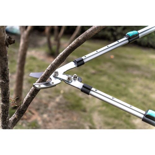 Pro coupe branche pro télescopique lame enclume - SUAN