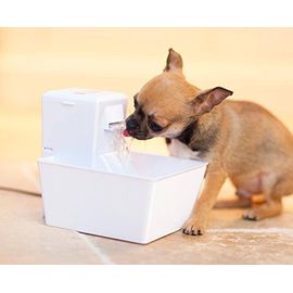 Aqua Cube Fontaine Pour Animaux 1.2l En Plastique Sans Bpa - Pour Chat / Petit Chien, Petite Et Compacte, Avec Filtre À Charbon Et Filtre En Mousse