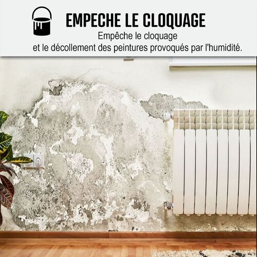 Peinture anti humidité mur humide plâtre béton placo cave sous-sol salle de bain sdb anti moisissure salpêtre isolante ARCASCREEN 10L (jusqu a 40m²)