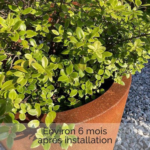 Bac À Fleurs Acier Corten Carré - 24l ? Forest-Style