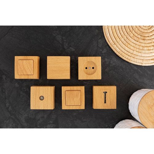 Prise TV D.9,52 saillie Hetre