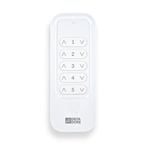 Télécommande de groupe Tyxia 1700 Delta Dore