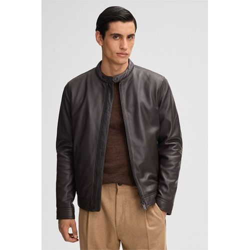 Blouson En Cuir Jace, Marron