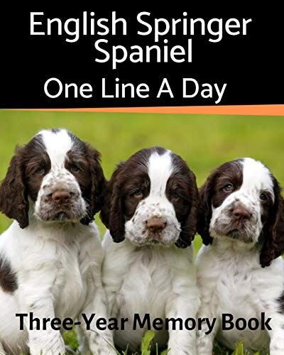 English Springer Spaniel - 1 L