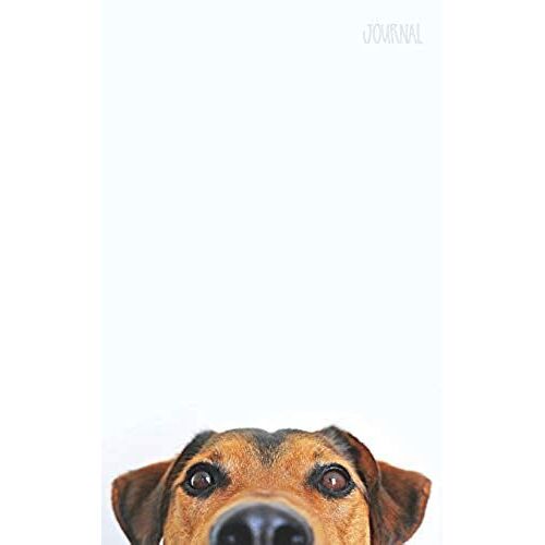 Journal: Journal - 90 Lined College Rule Pages With Cute Dog Cover
