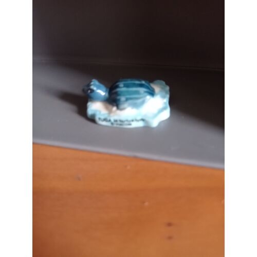 Fève Tuga La Tortue Lutte