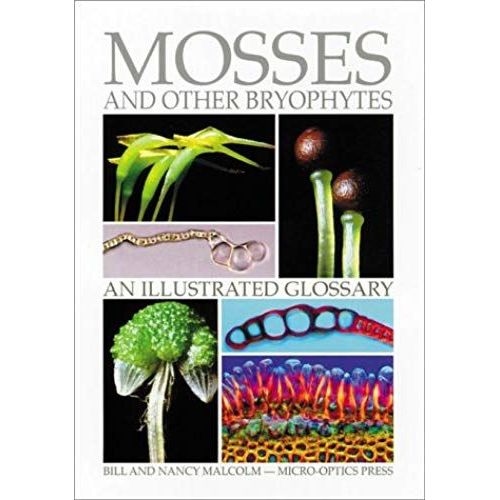 Mosses And Other Bryophytes: An Illustrated Glossary