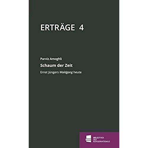 Schaum Der Zeit