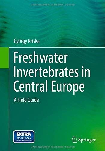 Freshwater Invertebrates In Central Europe