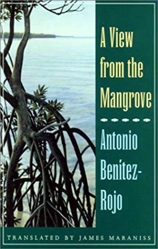 View From The Mangrove