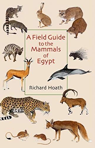 A Field Guide To The Mammals Of Egypt