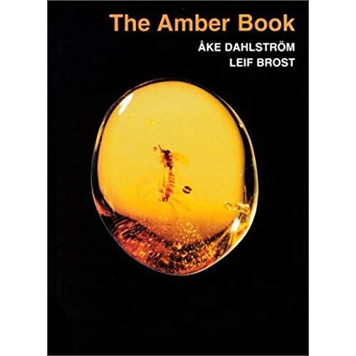 The Amber Book: Ake Dahlstrom And Leif Brost