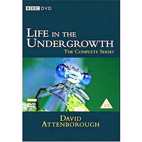 Life In The Undergrowth The Complete Series