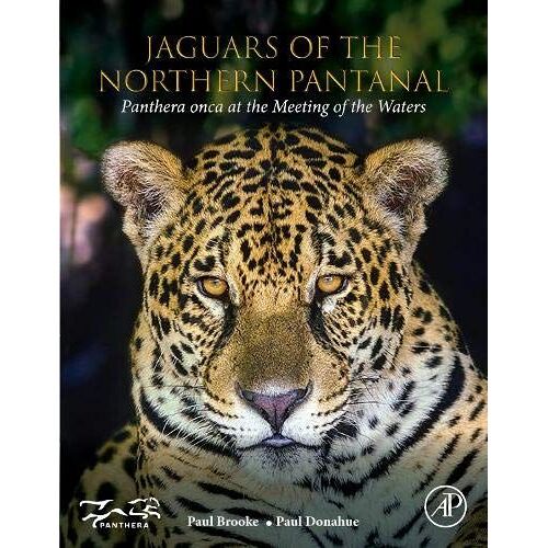 Jaguars Of The Northern Pantanal