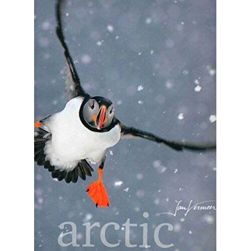 Arctic