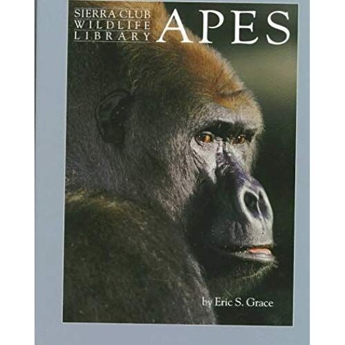 Apes (Sierra Club Wildlife Library)