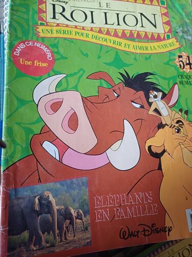Le Roi Lion 54 
