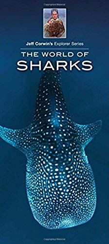 The World Of Sharks