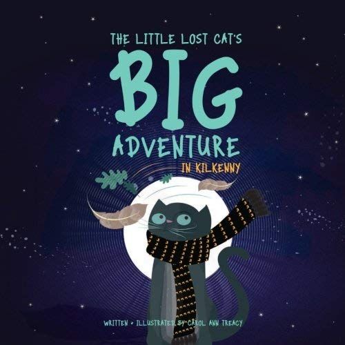 The Little Lost Cat's Big Adventure In Kilkenny