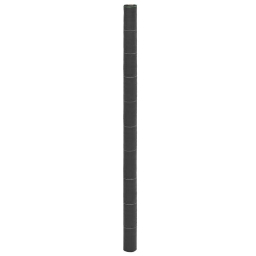 vidaXL Membrane anti-mauvaises herbes noir 2x100 m PP