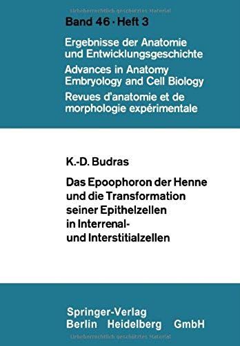 Das Epoophoron Der Henne Und Die Transformation Seiner Epithelzellen In Interrenal- Und Interstitialzellen