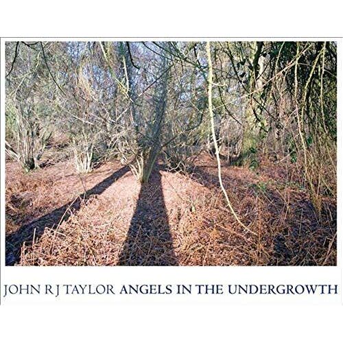 Angels In The Undergrowth