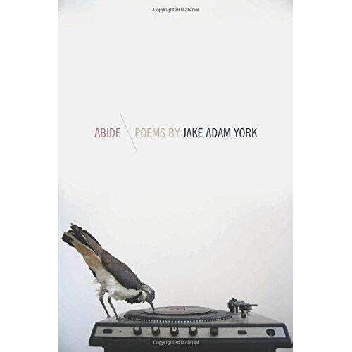 Abide