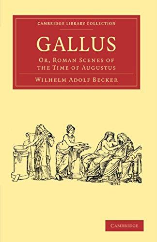 Gallus