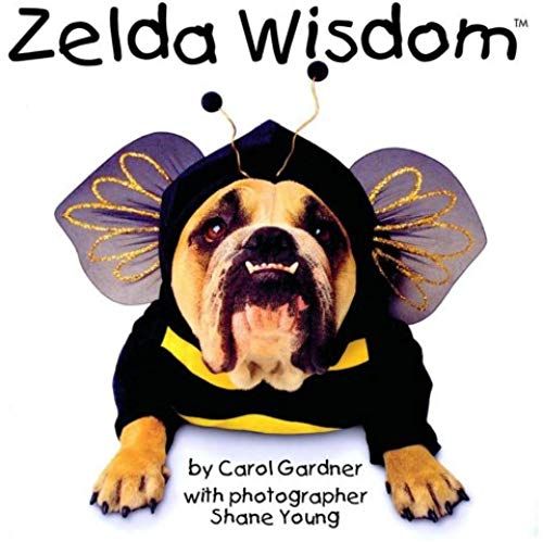 Zelda Wisdom