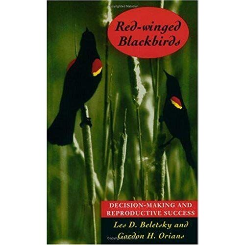 Red-Winged Blackbirds
