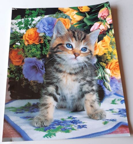 Belle image cartonnée couleurs d'un chaton soyeux aux yeux clairs dans un massif de roses - image n°15738 série 'Câline" - 24x30cm - à encadrer ou à utiliser comme simple poster